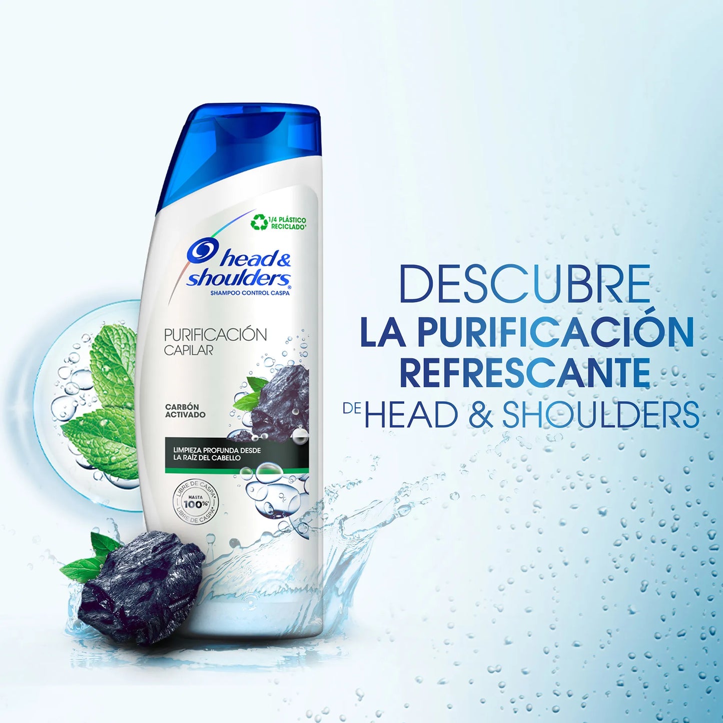 HEAD AND SHOULDERS SHAMPOO PURIFICACION CAPILAR CARBON ACTIVADO 10/650 ML