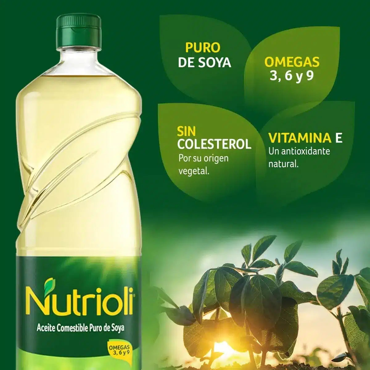 NUTRIOLI ACEITE 12/800 ML