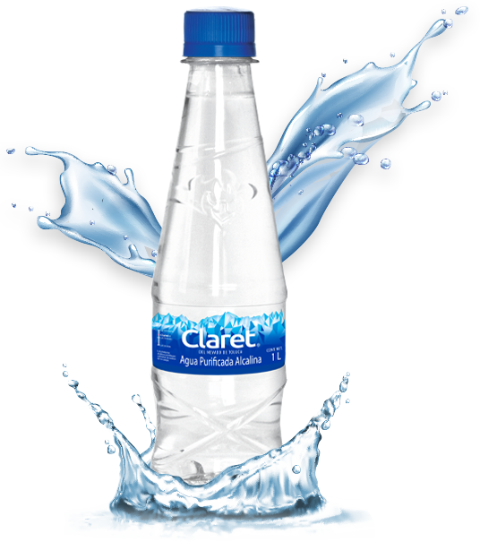 CLARET AGUA PURIFICADA ALCALINA 24/330 ML