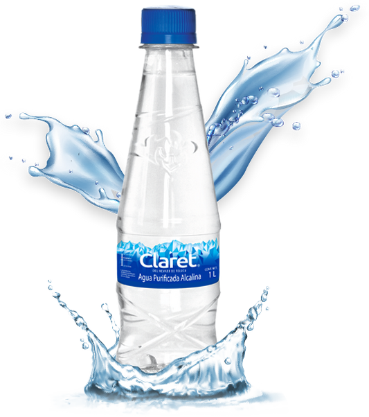 CLARET AGUA PURIFICADA ALCALINA 24/330 ML