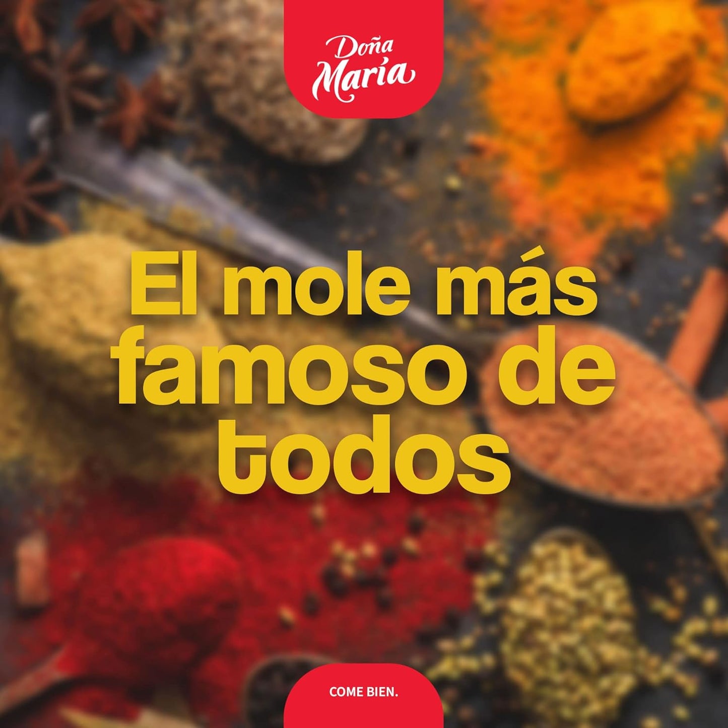 MOLE DOÑA MARIA LISTO PARA SERVIR 21/360 G