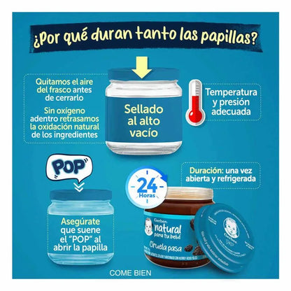 GERBER PAPILLA CIRUELA PASA 2A ET 24/100 G
