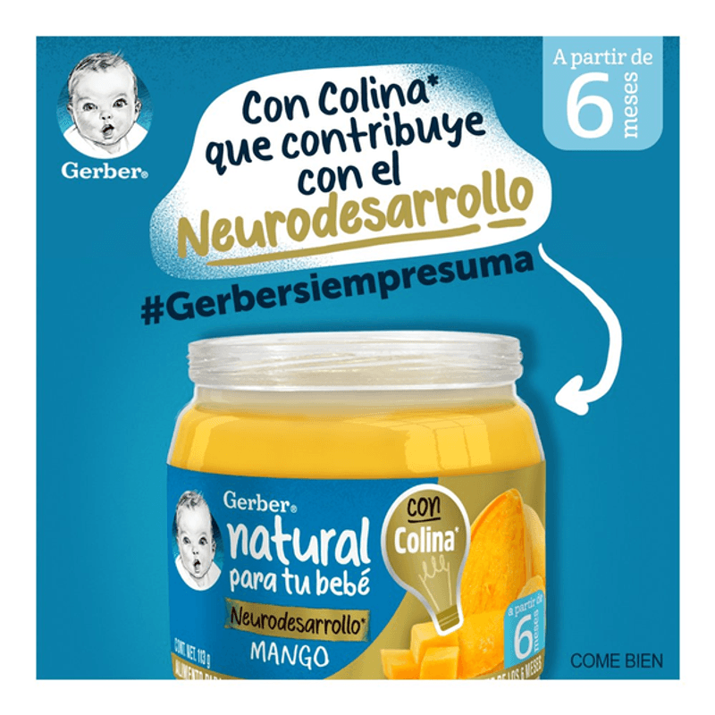 GERBER PAPILLA MANGO 2A ET 24/100 G