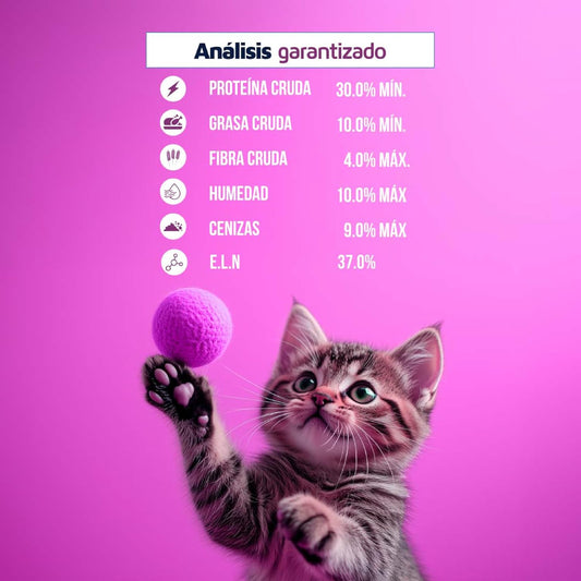 HI CAT C/15 K