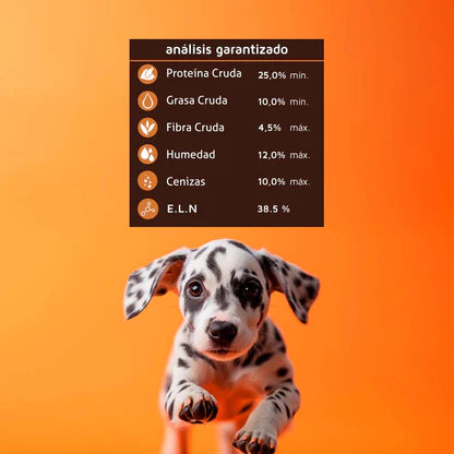 HI DOG CACHORRO C/20 K