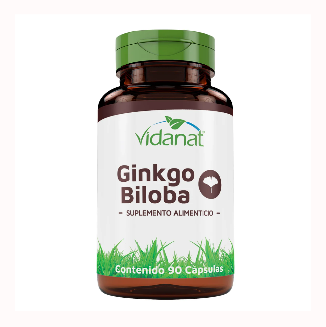 Ginkgo Biloba 90 Cap