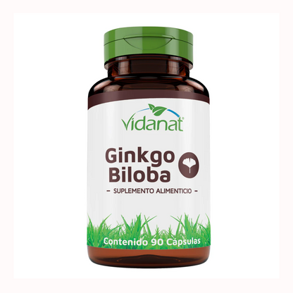 Ginkgo Biloba 90 Cap