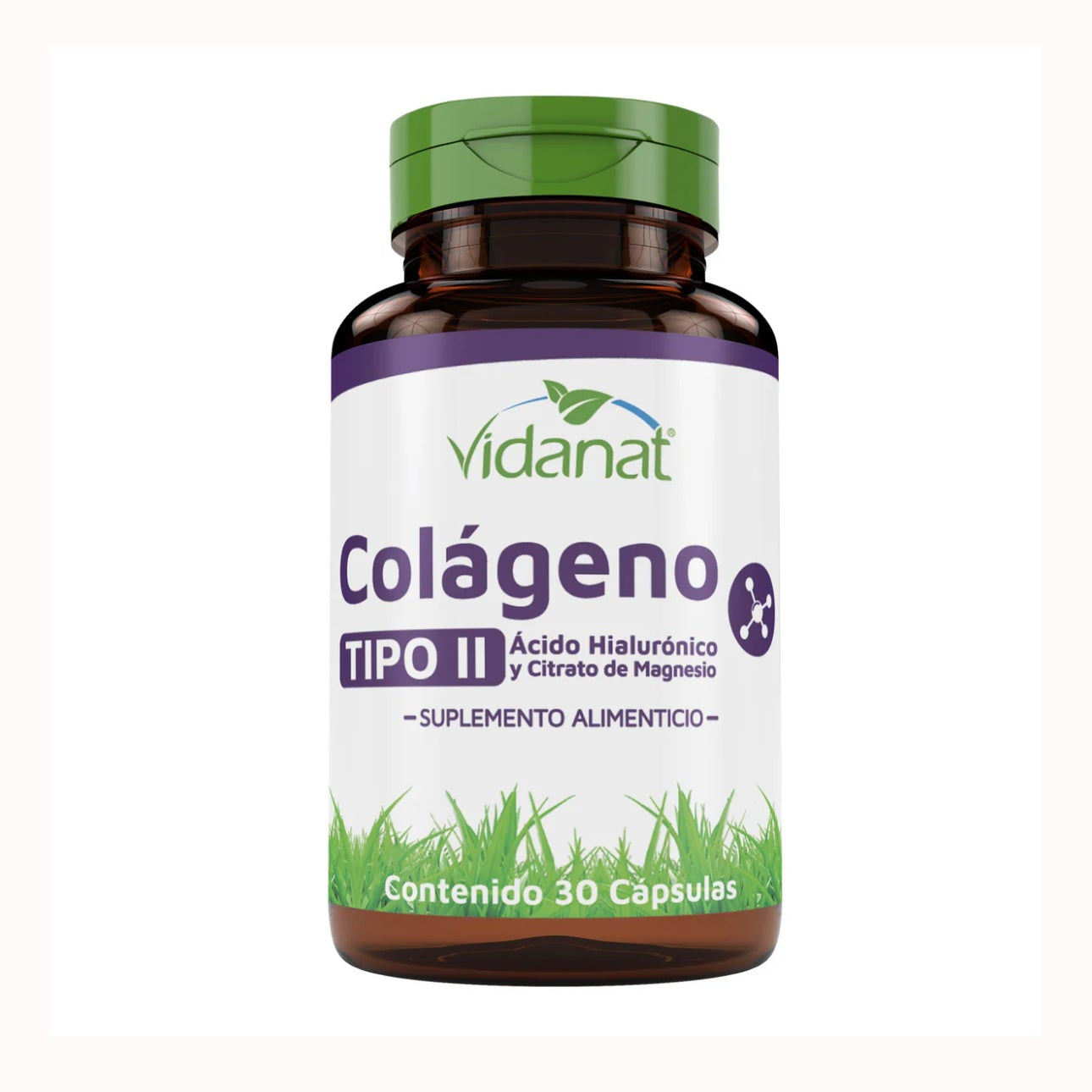 Colageno Tipo Ii Acido Hialuronico Magnesio 30 Cap