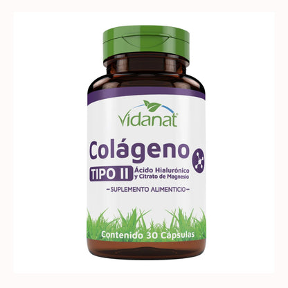 Colageno Tipo Ii Acido Hialuronico Magnesio 30 Cap