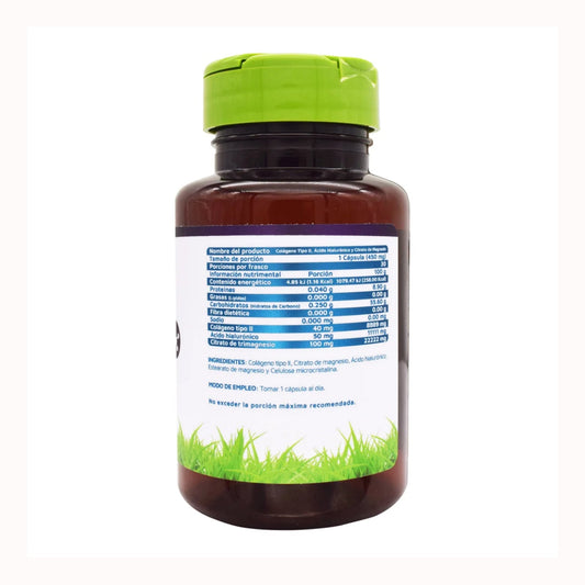Colageno Tipo Ii Acido Hialuronico Magnesio 30 Cap
