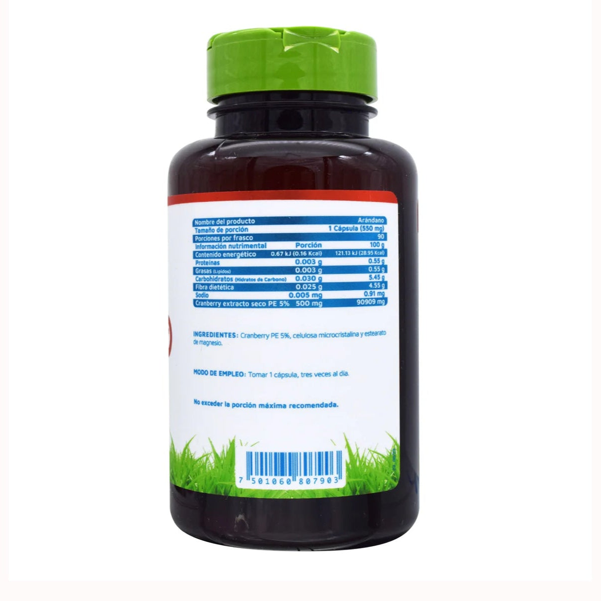 Arandano 90 Cap