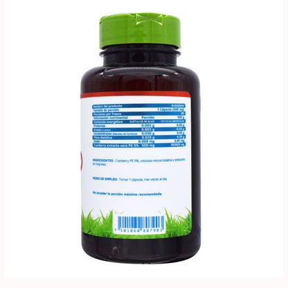 Arandano 90 Cap