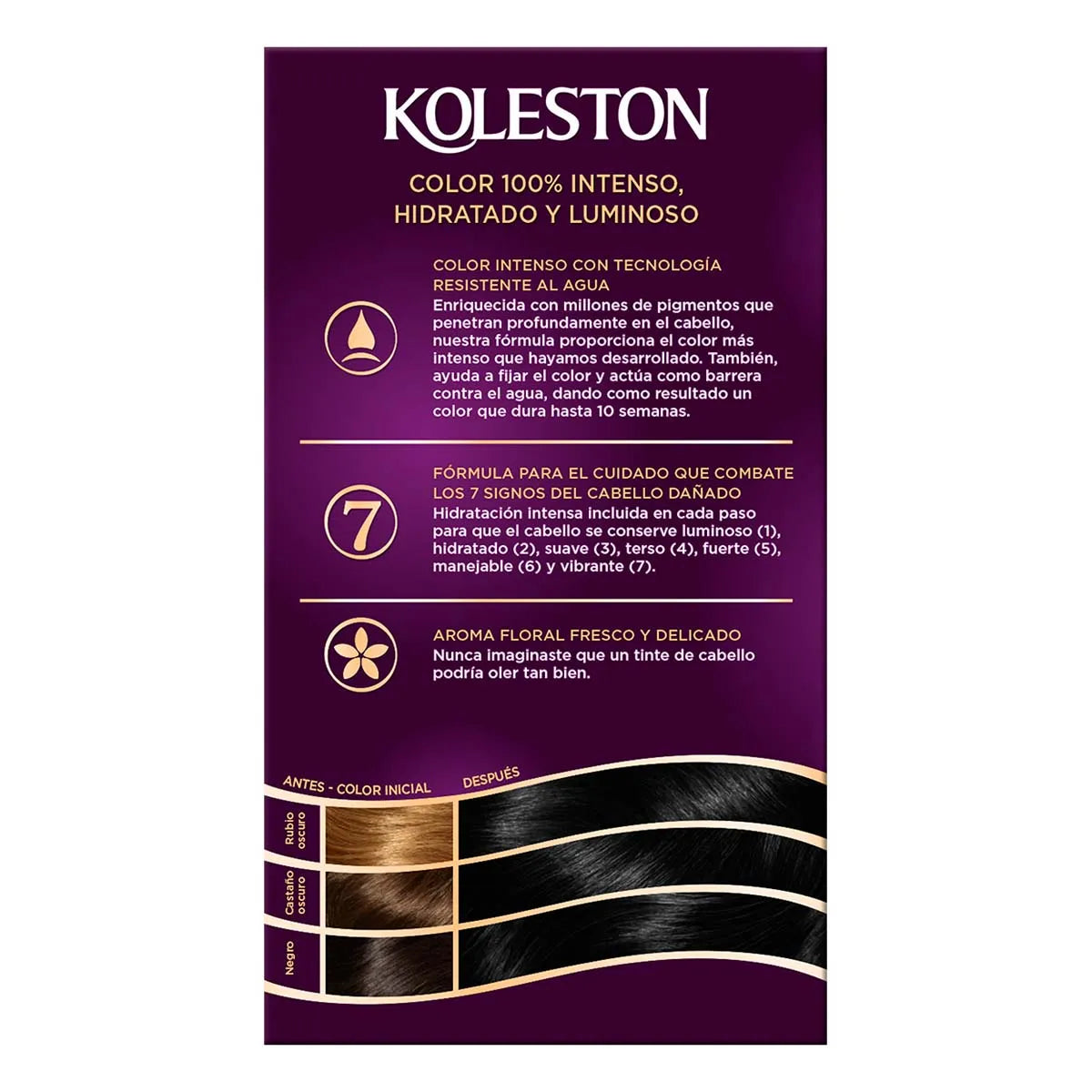 KOLESTON TINTE #10 C/12