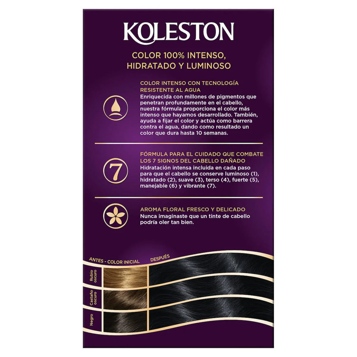 KOLESTON TINTE #21 C/12