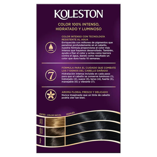 KOLESTON TINTE #21 C/12
