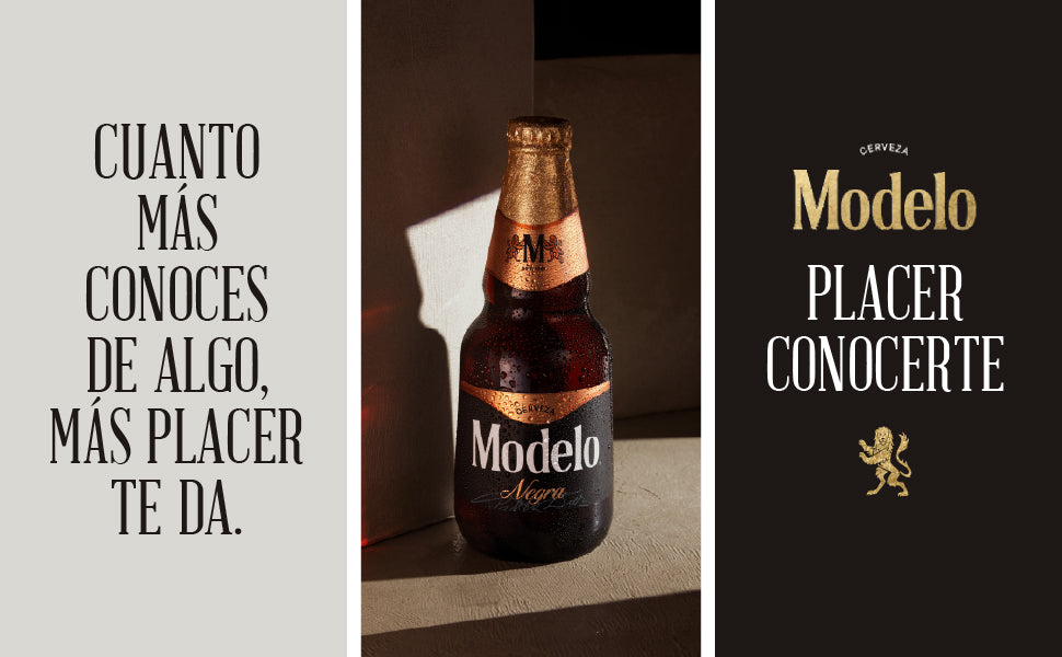 MODELO CERVEZA BOTELLA NEGRA ESPECIAL 12pzs 355 ML