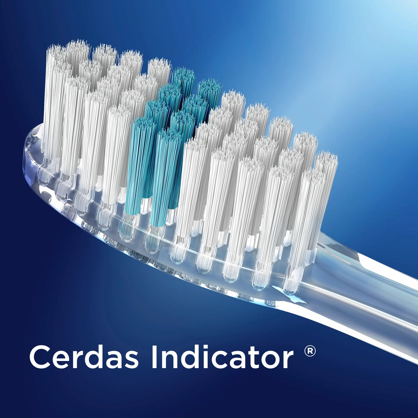 ORAL-B CEP INDICATOR  # 40 TIRA 9/4