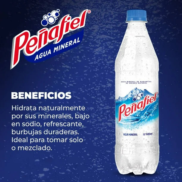 PENAFIEL AGUA MINERAL PET 12/600 ML