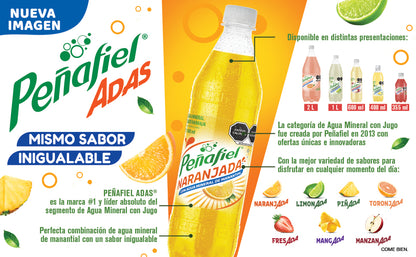 PENAFIEL REFRESCO PET NARANJADA 12/600 ML