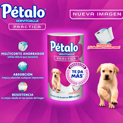 PETALO SERVITOALLA PRACTICA 160